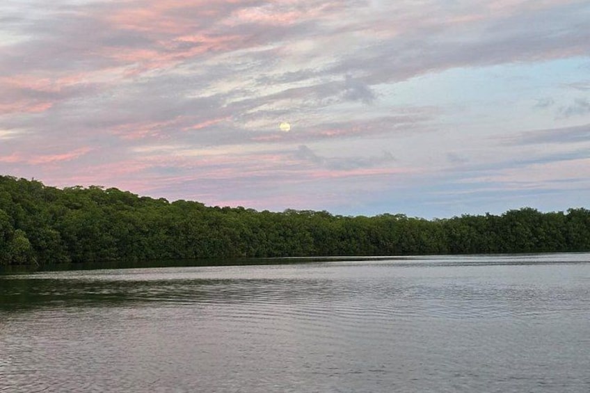 Un lac paisible, bordé d’une forêt, et une lune dans le ciel. 3