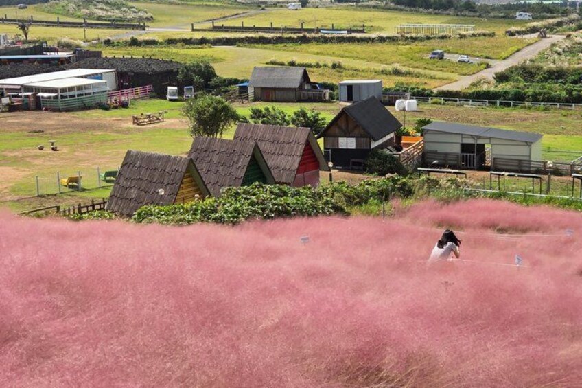 A rural landscape with a person riding a horse, houses, and agricultural fields. 5