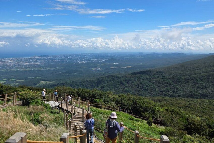 A wooden staircase leading up a hill with people walking. 4