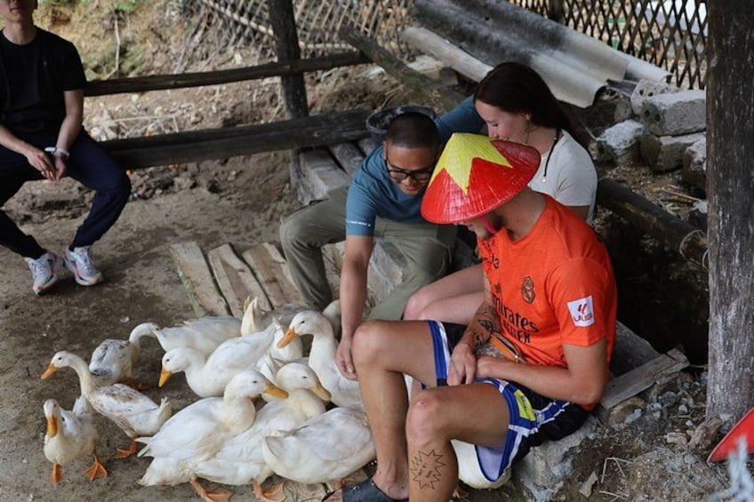 A person in an orange shirt and a conical hat sitting on a bench with ducks. 2