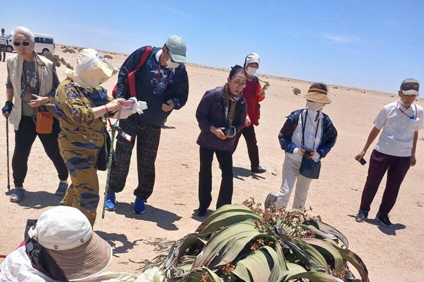 A group of people in a desert landscape, some with backpacks and one holding a camera. 5