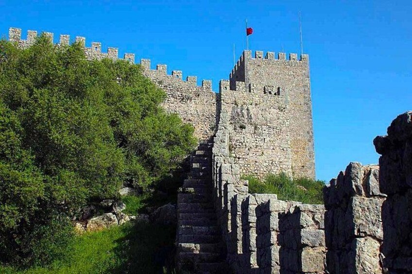Eine steinerne Burg mit einer Fahne auf dem Turm, umgeben von viel Grün und blauem Himmel. 2