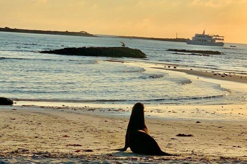 Isabela Island Tour in Galapagos with Kayak and Snorkeling