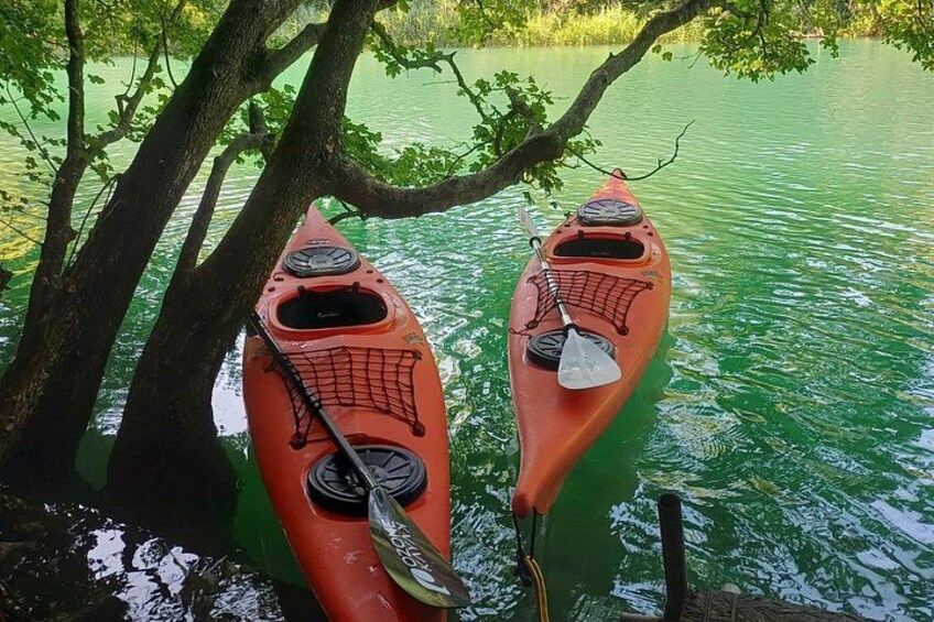 Two red kayaks tied to a tree by a calm river. 3