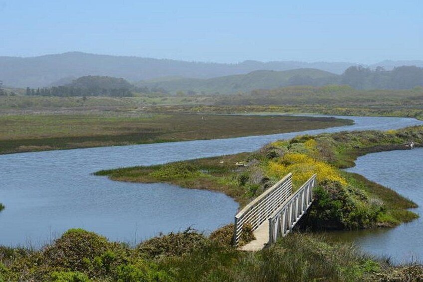 Drive across the largest freshwater coastal marsh between San Francisco and Santa Cruz 4