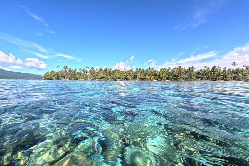 Snorkeling in Taha’a or Raiatea – Half Day by Iriatai Excursions 3