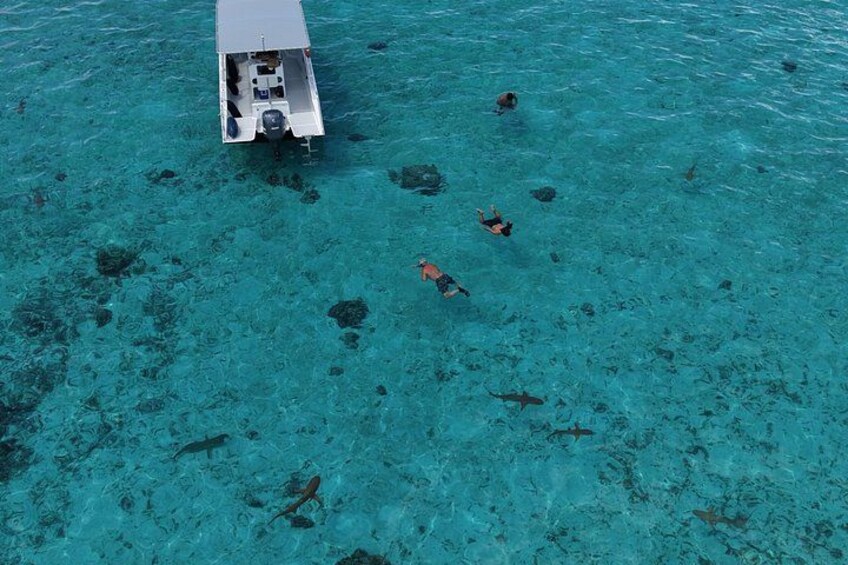 Snorkeling in Taha’a or Raiatea – Half Day by Iriatai Excursions 5