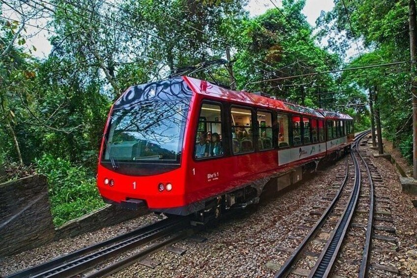 A red train on a curved track surrounded by dense greenery. 5