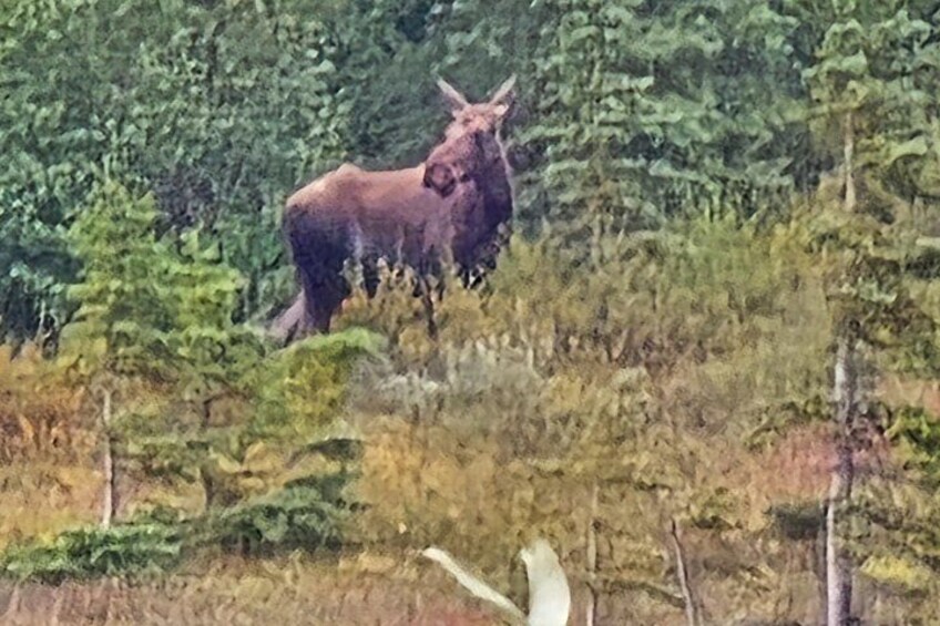 Chena Hot Springs Day Adventure 3
