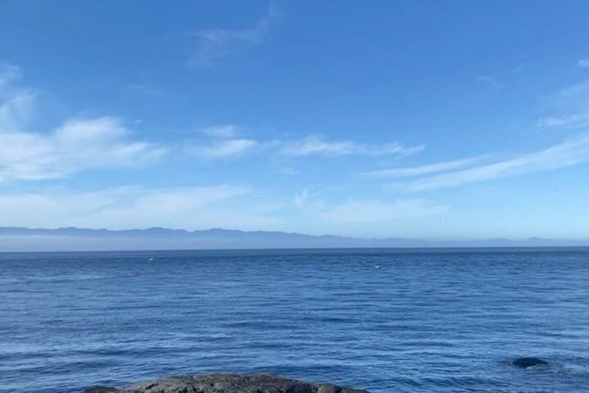 East Sooke Park Private Guided Coastal Hike – Trap Shack Route 4