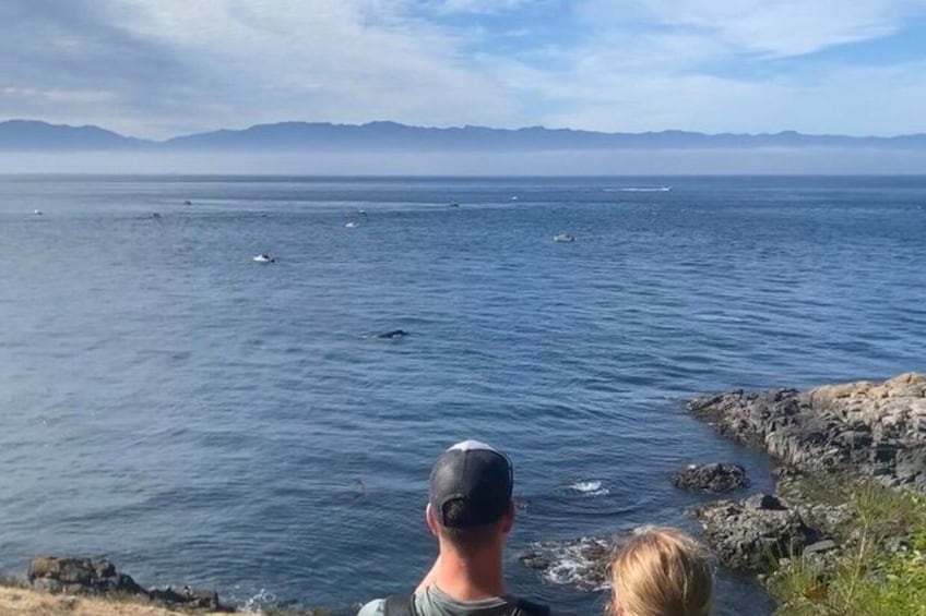 East Sooke Park Private Guided Coastal Hike – Trap Shack Route 3