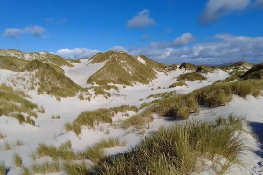 A dune landscape with sand and sparse vegetation. 2