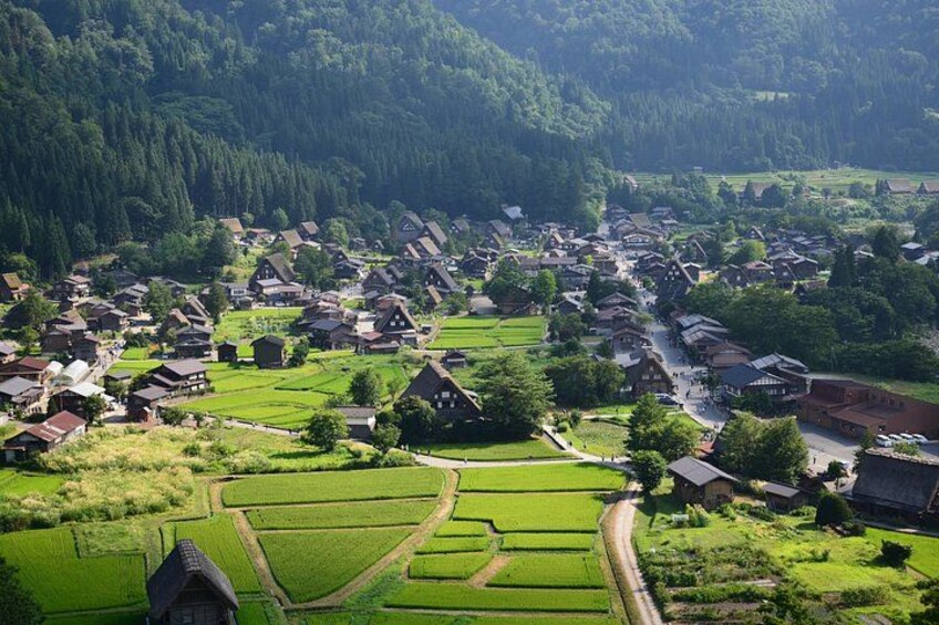 Takayama and Shirakawa-go Day Tour from Nagoya 2