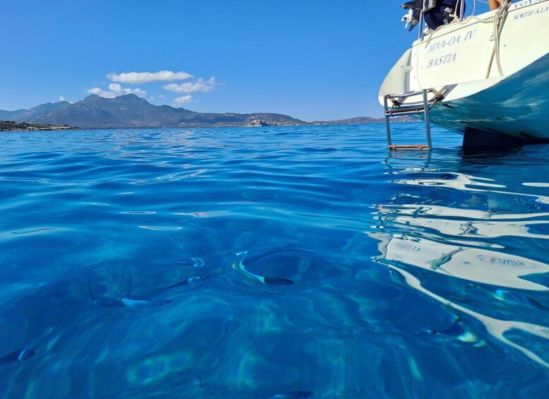 Picture 2 for Activity Calvi: 3-hour sailboat day trip, from morning to sunset, swimming & snorkeling 2