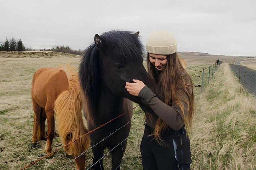 A person petting a black horse with a brown mane in a grassy field with a fence in the background. 4