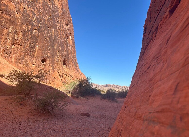 Picture 4 for Activity Las Vegas: Valley of Fire Small Group Tour 2