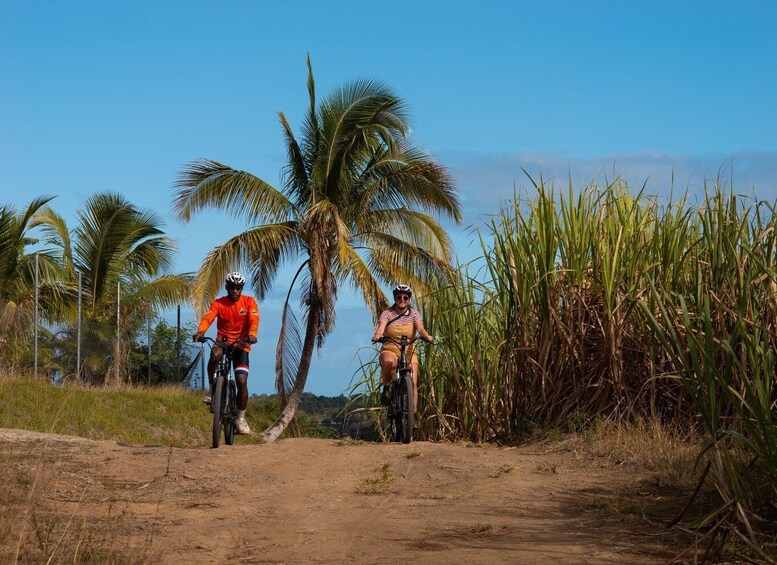 Two cyclists on a dirt path with palm trees and tall grass in the background. 1