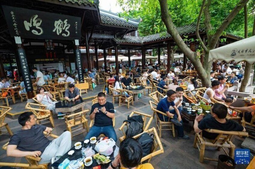 Chengdu Layover Private Panda Tour with Airport Transfer 5