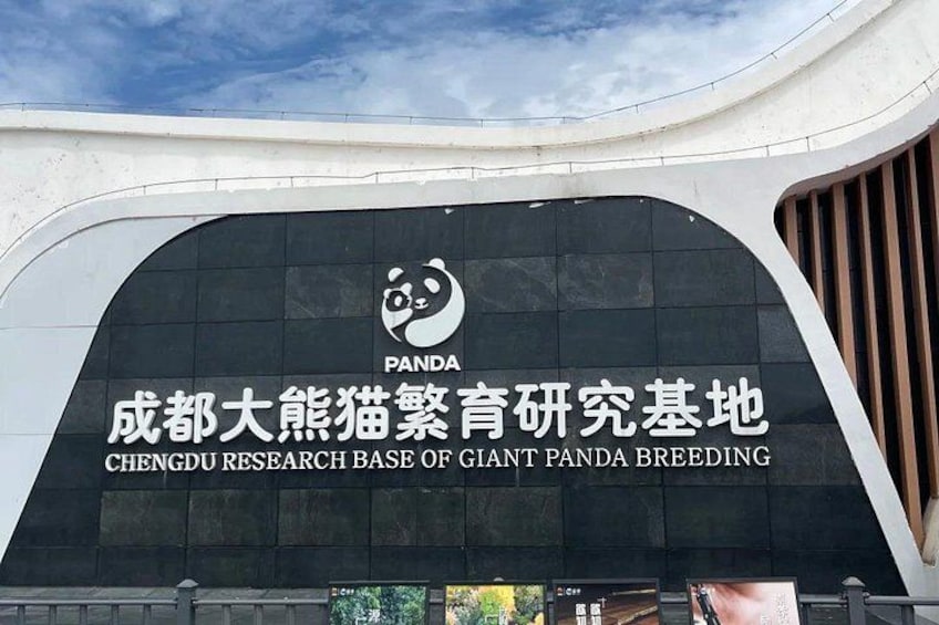 Chengdu Layover Tour: Panda Base & Old Town by Metro with Guide 5