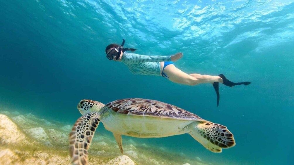 Picture 2 for Activity Destin: Snorkeling Safari on The Original Cruisin Tikis 1