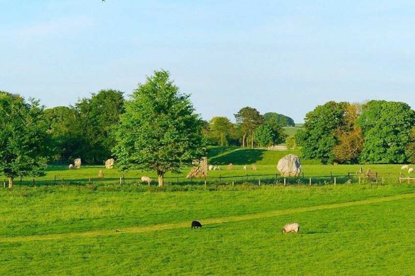 A green field with sheep grazing, trees, and a large rock. 4