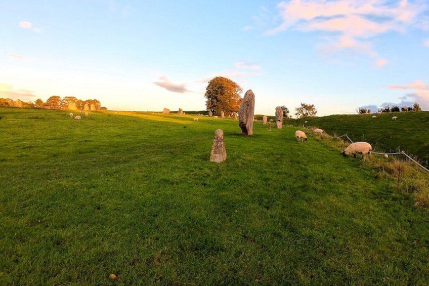 A grassy field with standing stones and sheep grazing. 5
