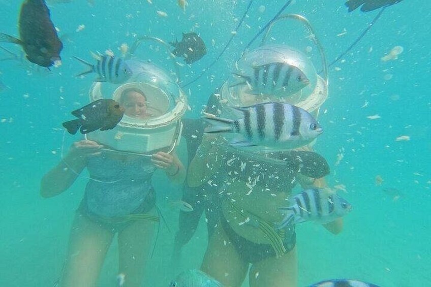 Undersea Walk 1