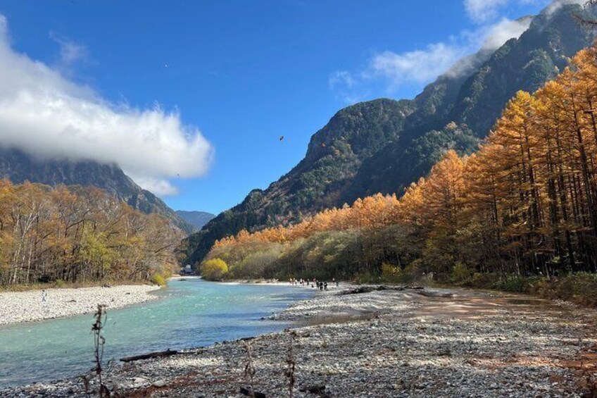 Autumn Colors Exclusive: Scenic Kamikochi 1-Day Tour from Tokyo 2
