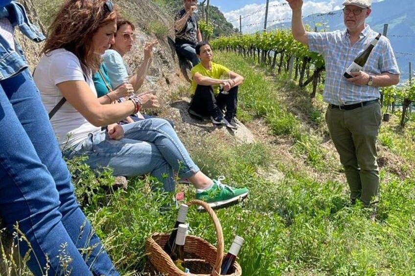 People sitting and standing on a grassy hillside with a vineyard in the background. 2