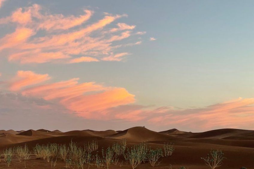 A desert landscape with sand dunes and sparse vegetation. 2