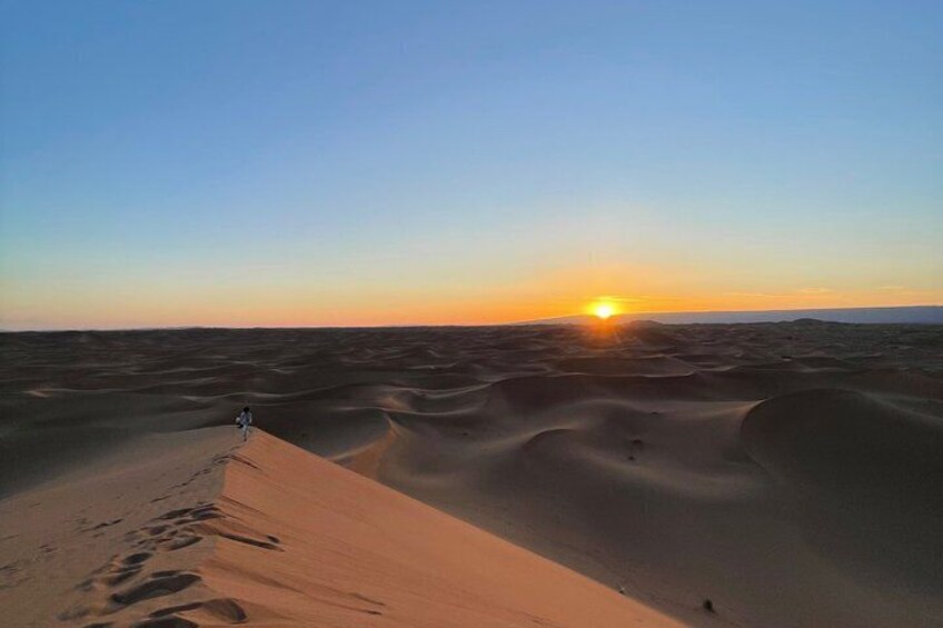 Multi Days desert Tour 3 Days 2 Nights 5