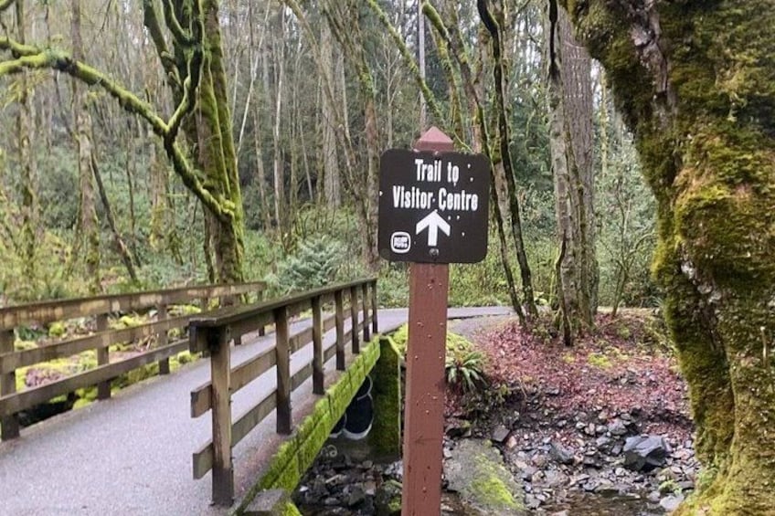 A trail sign in a forested area with a wooden bridge. 5