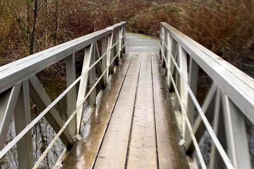 A wooden bridge with metal railings, surrounded by trees. 2