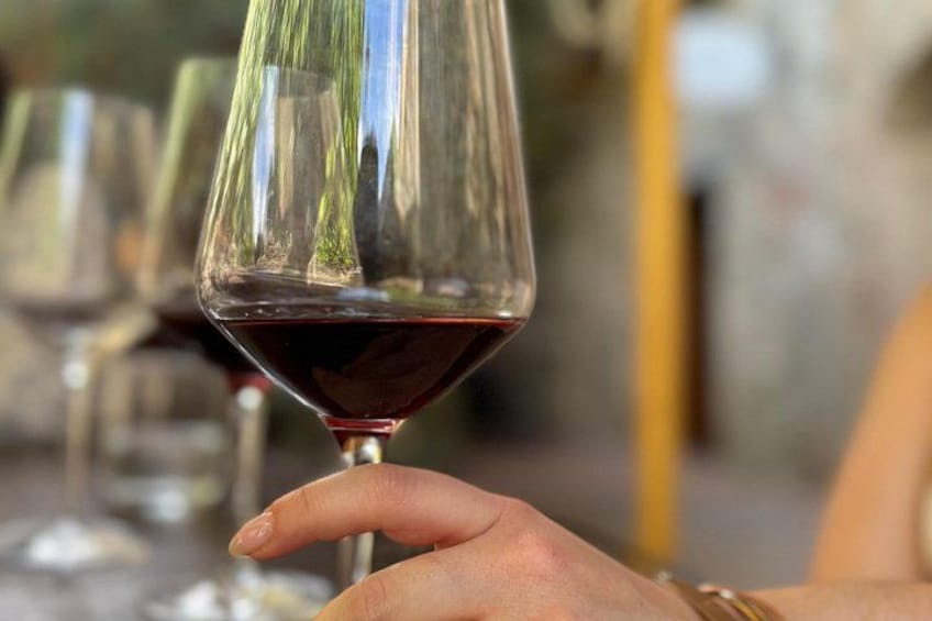 Private Chianti Tour by Van with Wine Tasting from Lucca 3