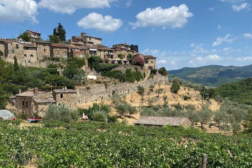 Private Chianti Tour by Van with Wine Tasting from Lucca 2