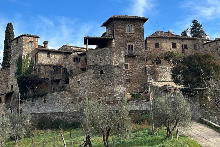 Private Chianti Tour by Van with Wine Tasting from Lucca 2
