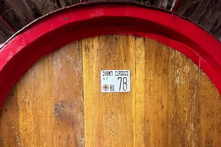 Private Chianti Tour by Van with Wine Tasting from Lucca 5
