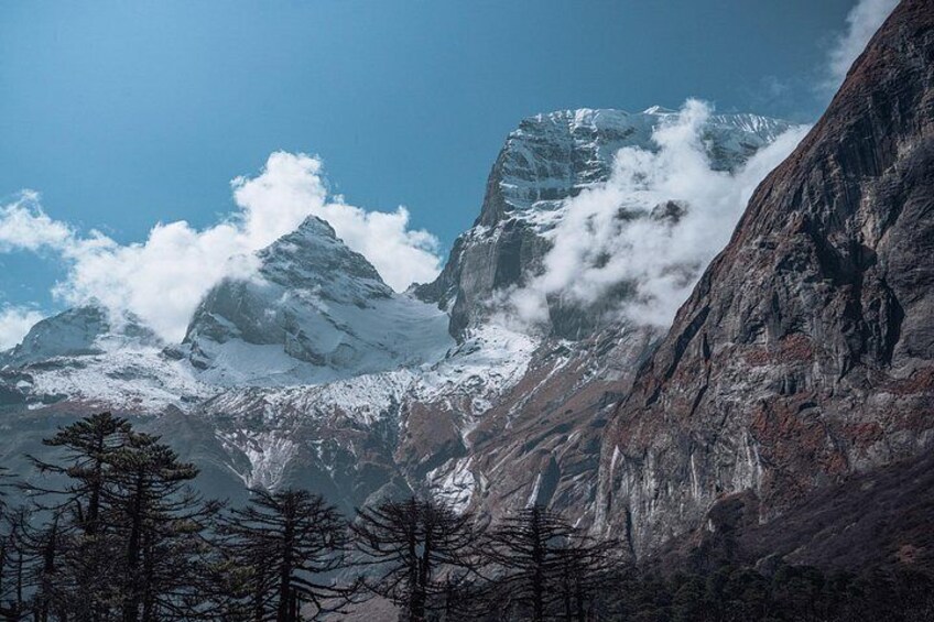 A snow-capped mountain range with a prominent peak, a rocky foreground, and sparse trees. 5