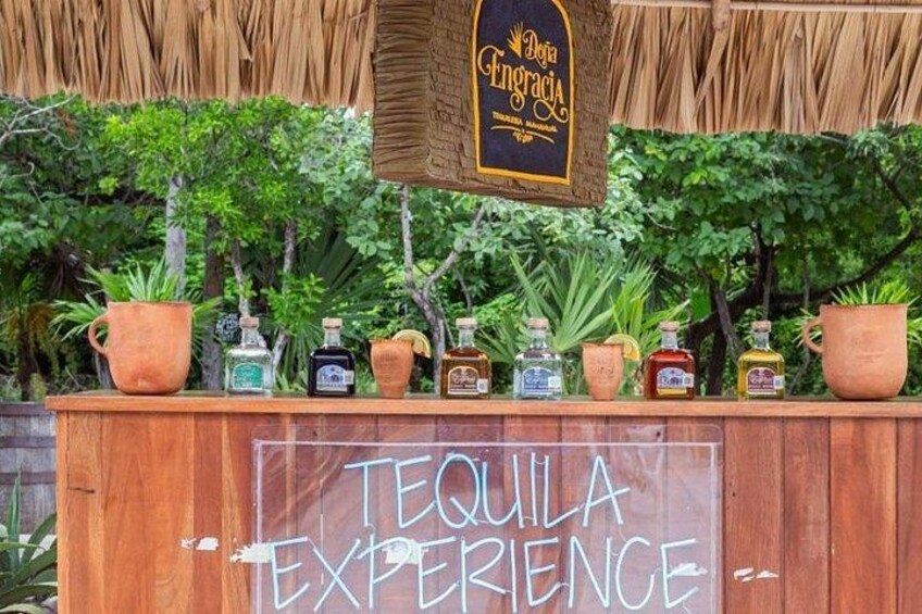 PROBANDO TEQUILA 4
