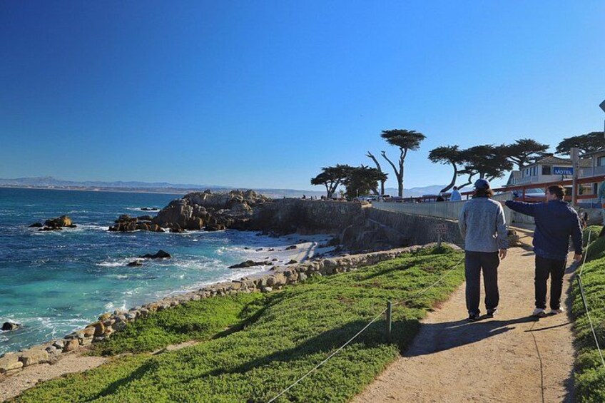 A coastal path with rocky outcrops, a clear blue sky, and a distant view of a city skyline. 3