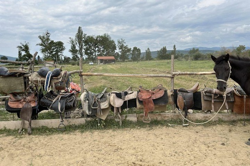 Un cavallo legato a una staccionata con selle e attrezzatura appese. 4