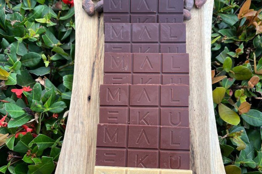 Chocolate Tasting Workshop in Brasilito 4