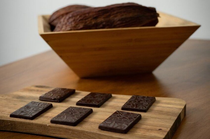 Chocolate Tasting Workshop in Brasilito 2