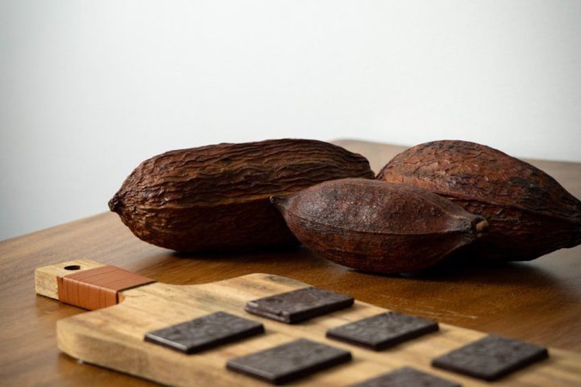 Chocolate Tasting Workshop in Brasilito 3