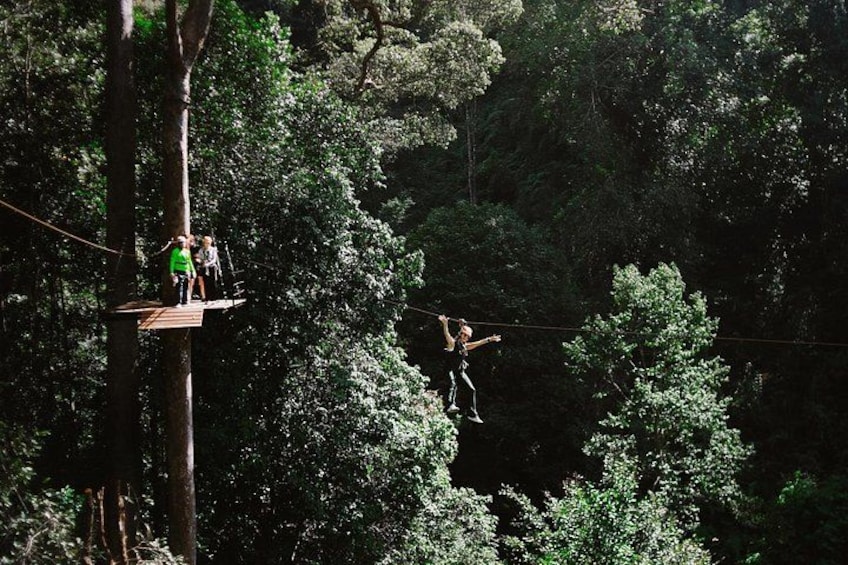 A person performing a tightrope walk between two platforms in a forested area. 5
