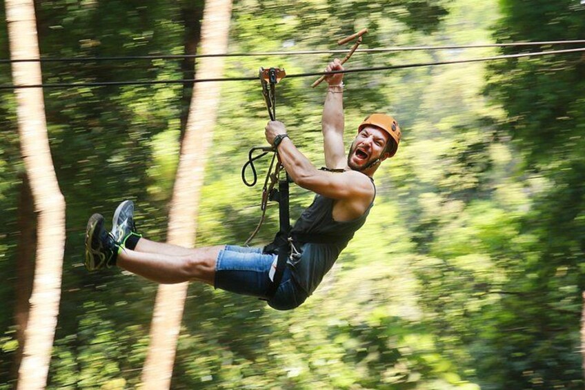 A person zip-lining through a forest. 1