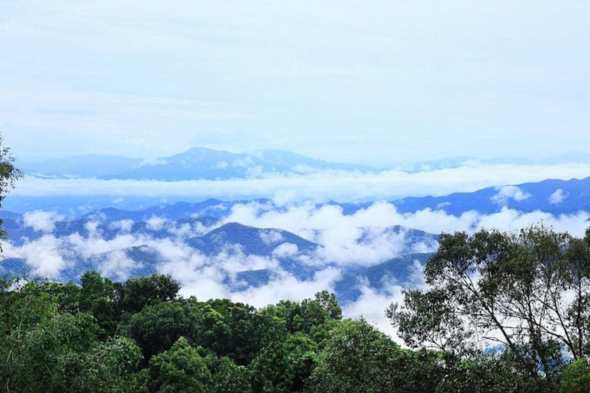 A mountainous landscape with dense forest and clouds at varying altitudes. 2