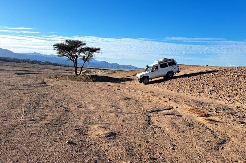Unique 4WD jeep Adventure deep in Hurghada desert 1