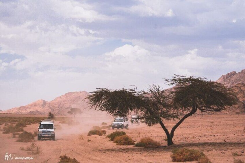 the adventure by jeep safari 4