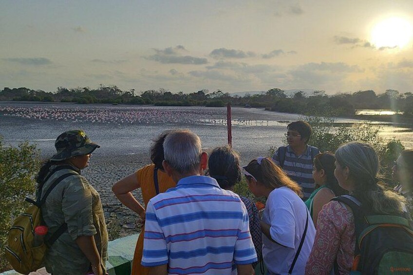 A group of people observing a sunset over a body of water with a distant shoreline. 1